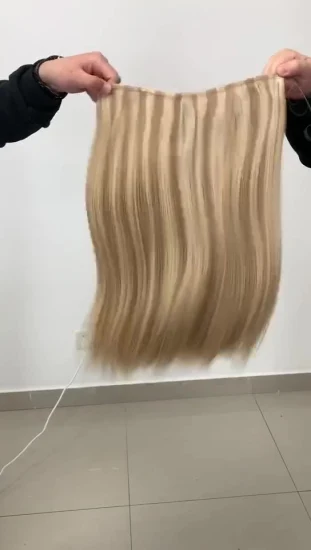 Großhandelsqualität alle Farben 100% Remy Russisches Haar Brasilianisches Reines Haar Halo in Haarverlängerungen